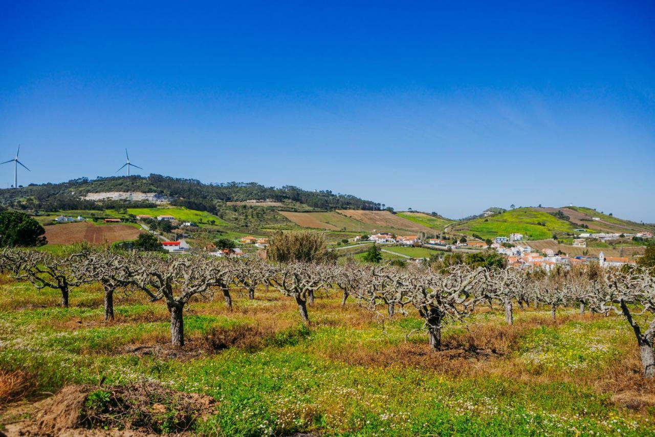 Traditional Portuguese Village House - Casa Martins No 52 Freiria Екстериор снимка