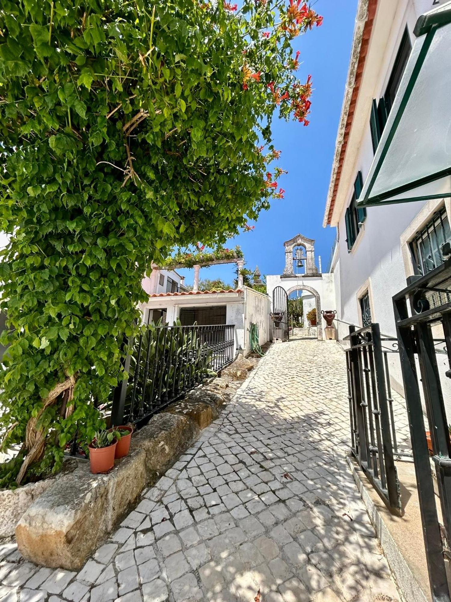 Traditional Portuguese Village House - Casa Martins No 52 Freiria Екстериор снимка